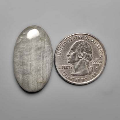 Silver Leaf Jasper