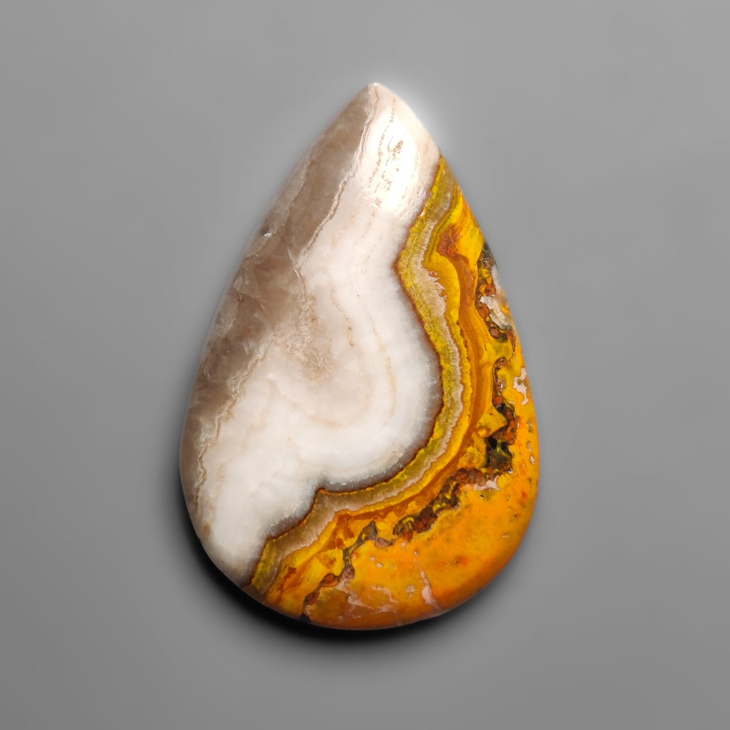 Bumble Bee Jasper