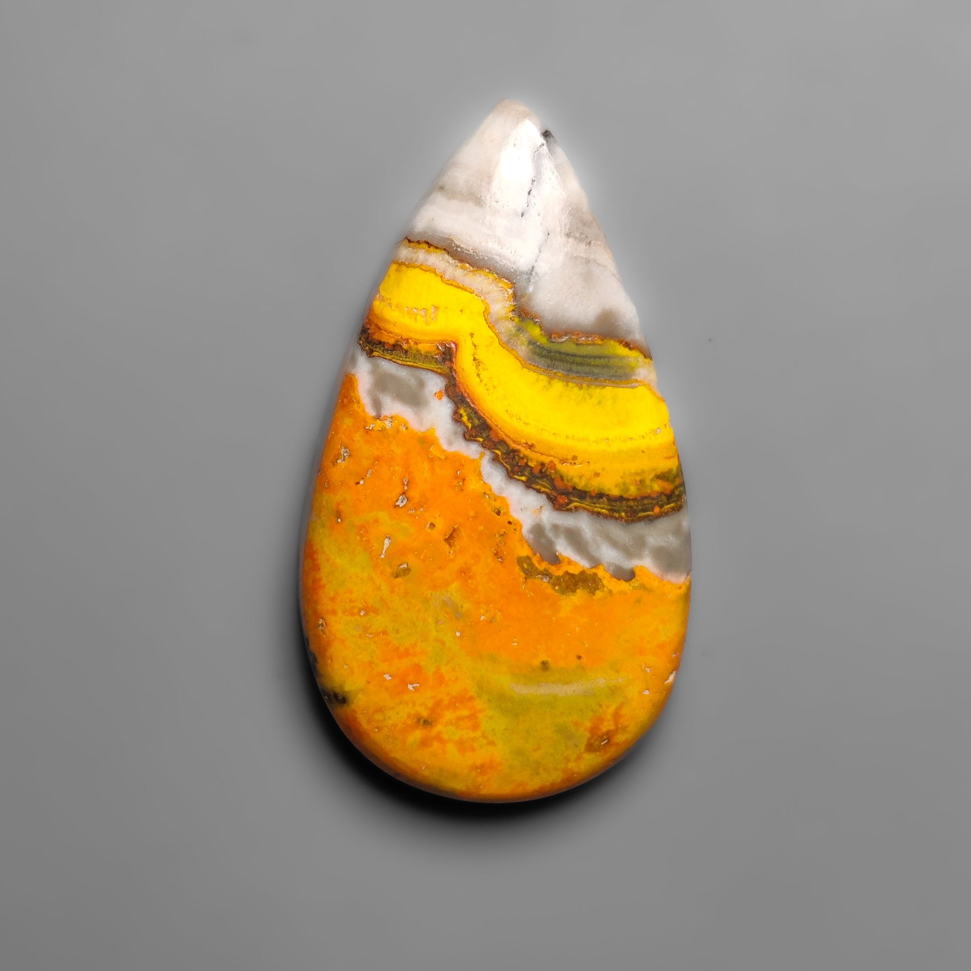 Bumble Bee Jasper