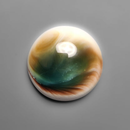 Shiva Eye Shell