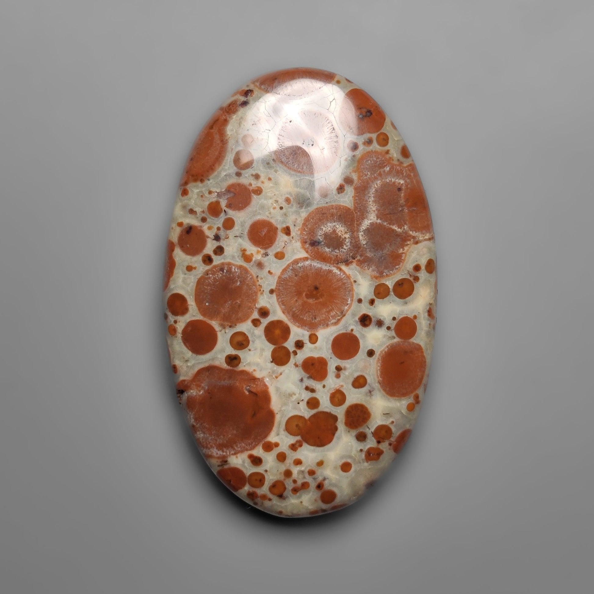 Asteroid Jasper