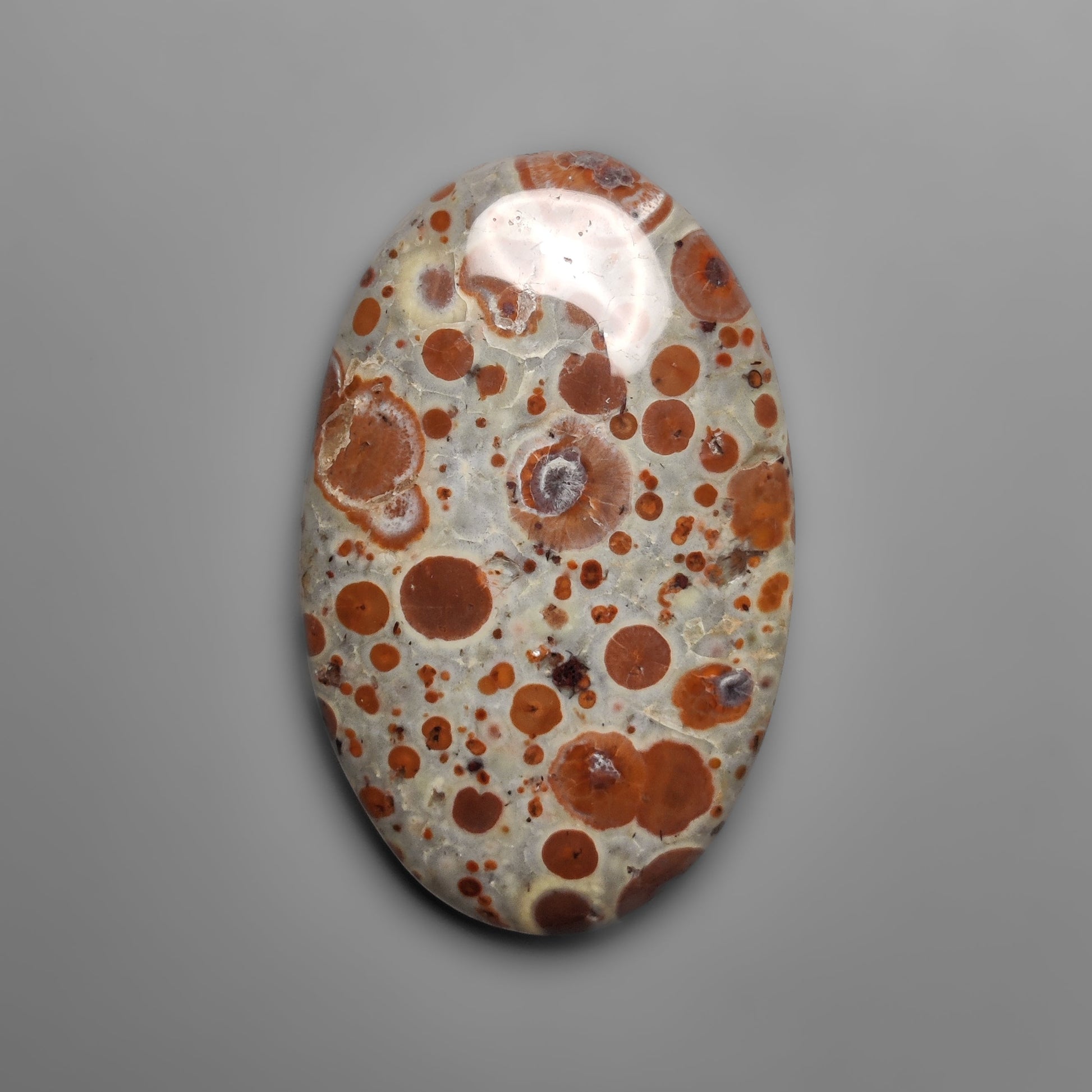 Asteroid Jasper