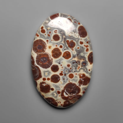 Asteroid Jasper