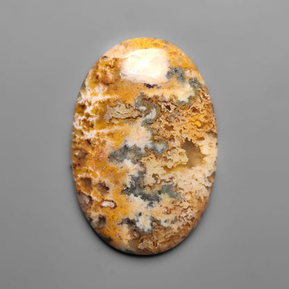 Plume Agate