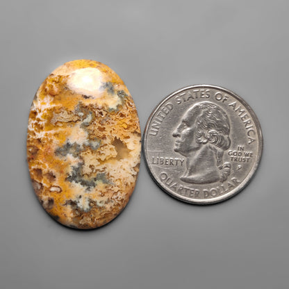 Plume Agate