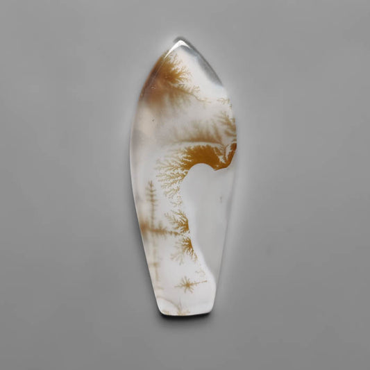 Scenic Agate