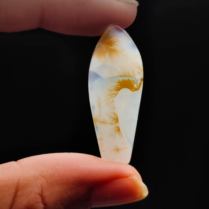 Scenic Agate