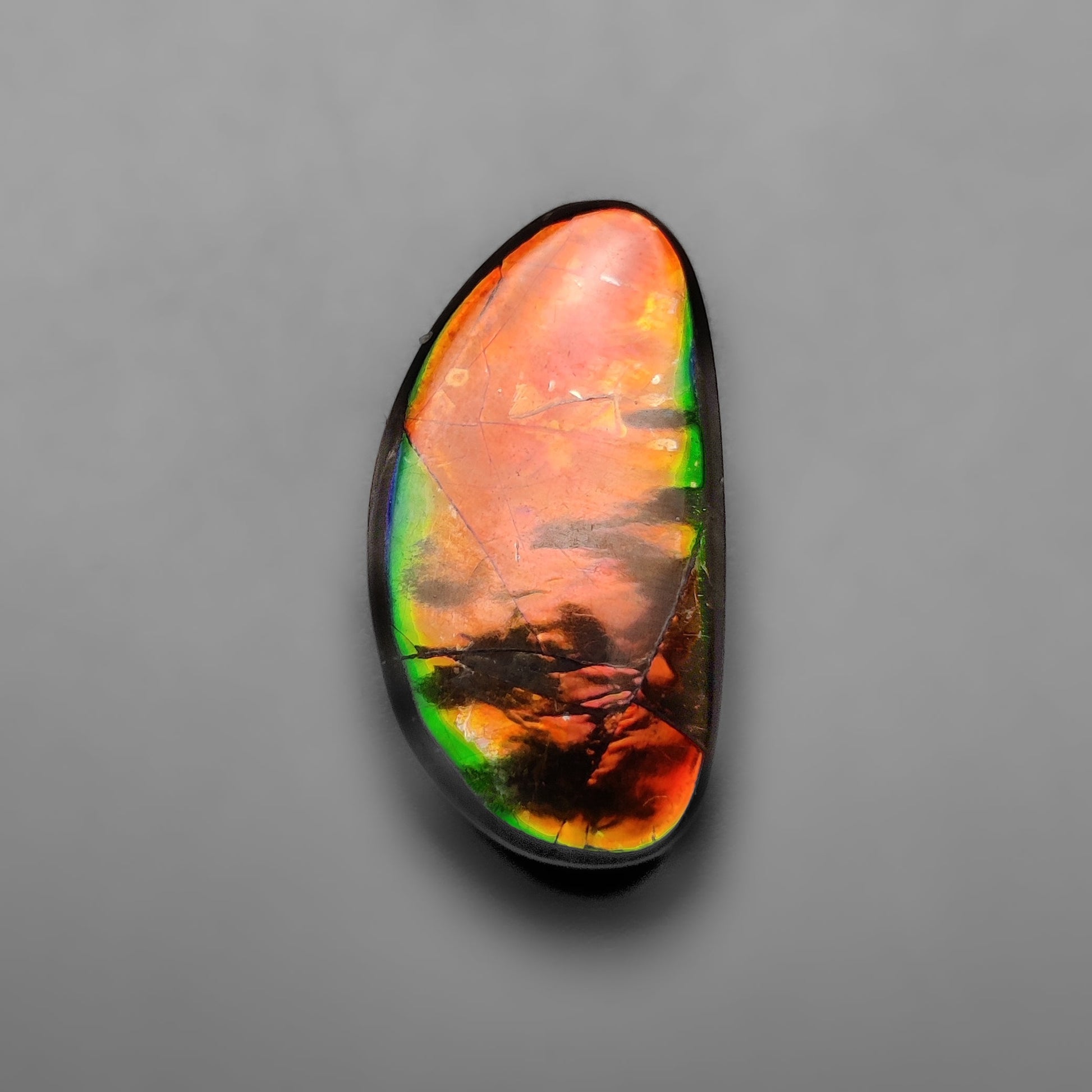 Ammolite