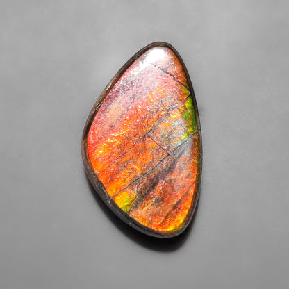 Ammolite