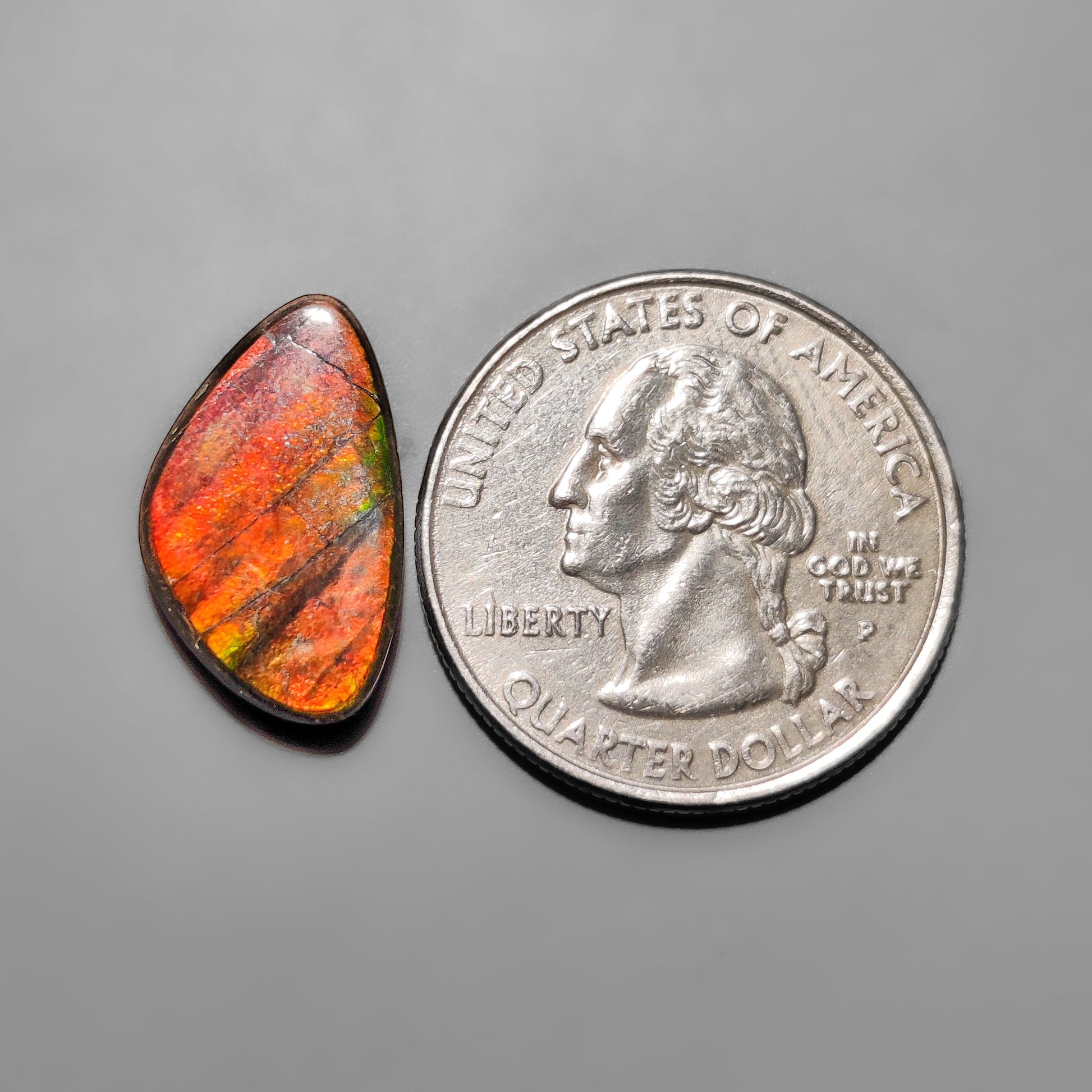 Ammolite