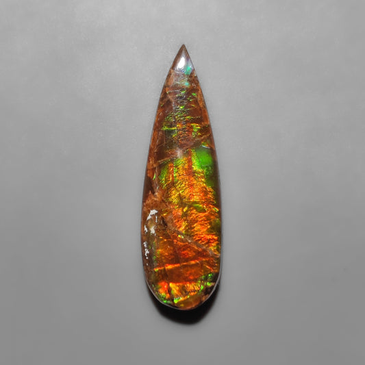 Ammolite