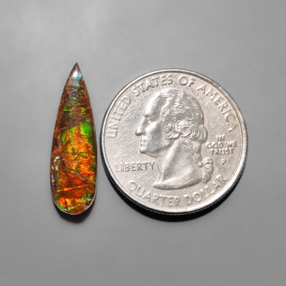 Ammolite