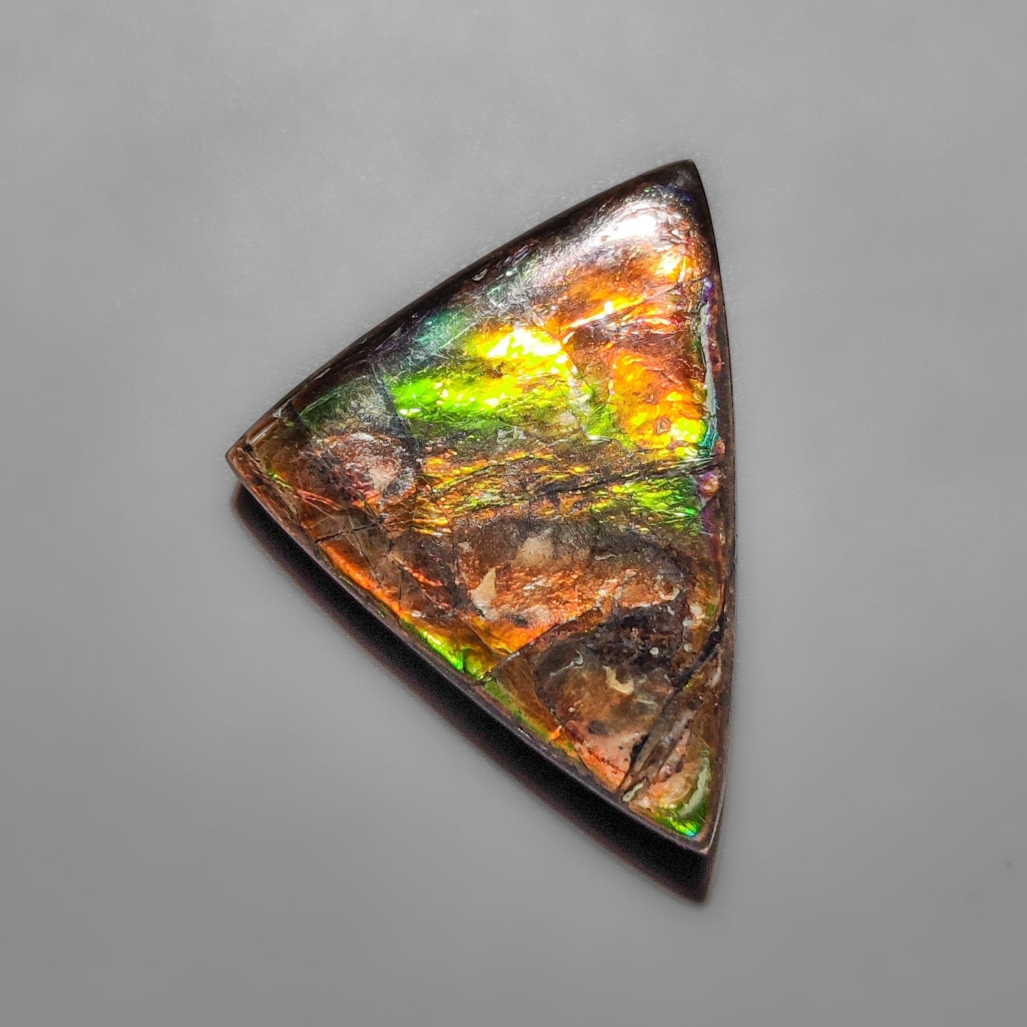 Ammolite