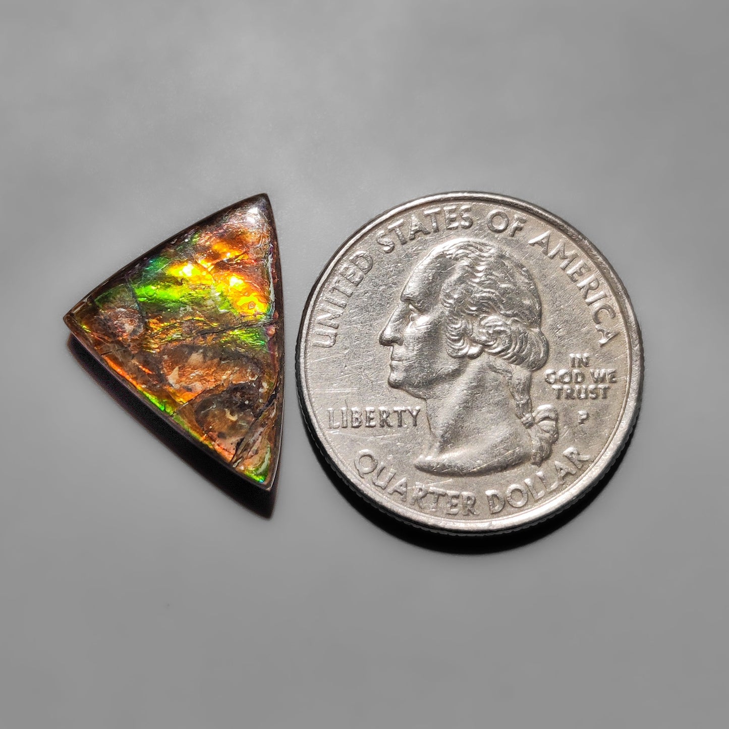 Ammolite