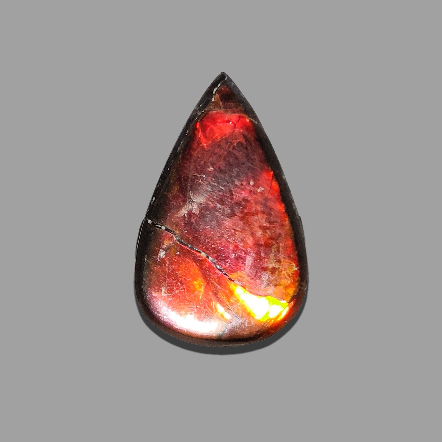 Ammolite