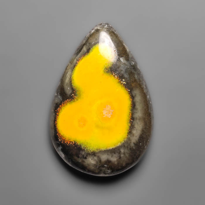 Bumble Bee Jasper