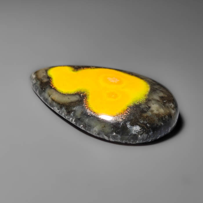 Bumble Bee Jasper