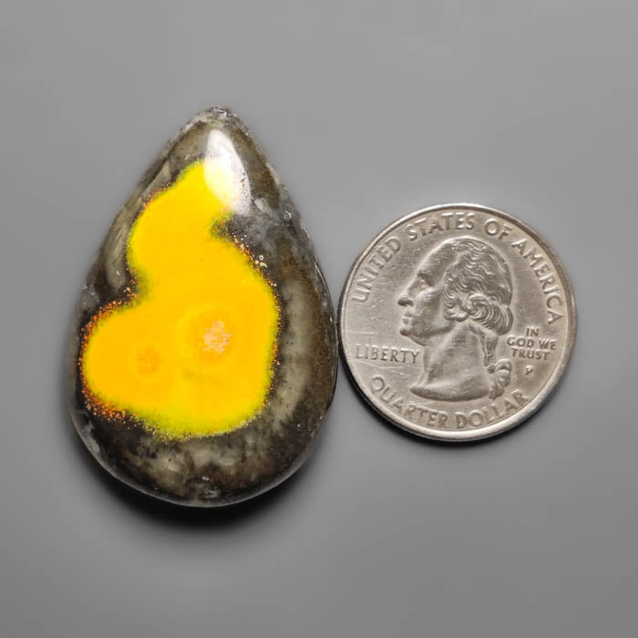 Bumble Bee Jasper