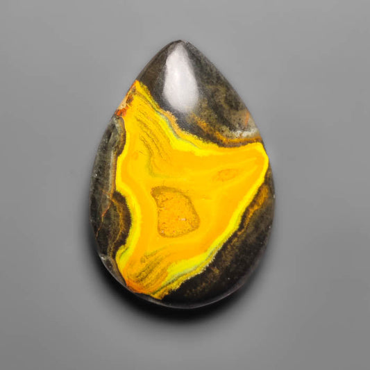 Bumble Bee Jasper