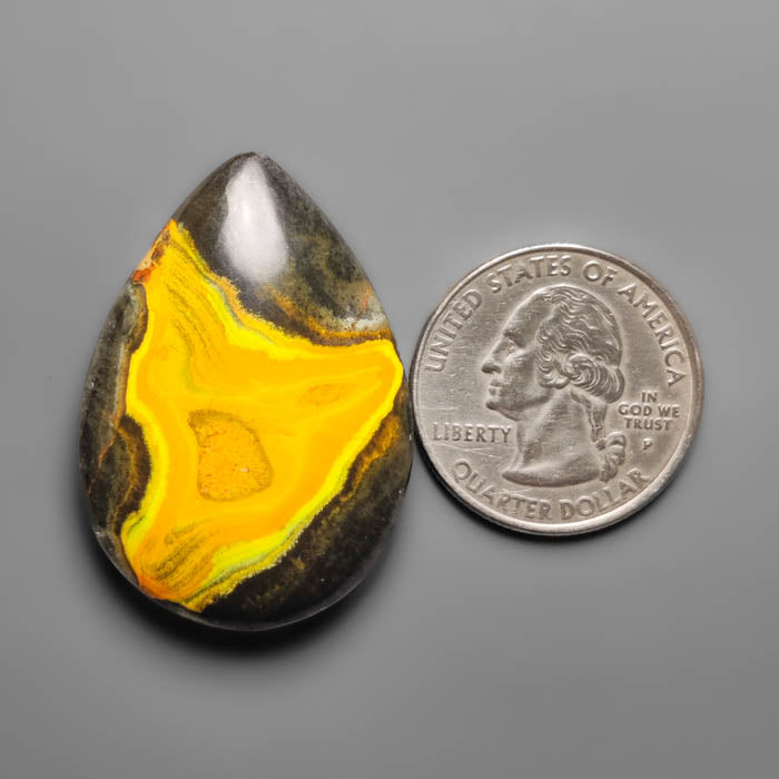 Bumble Bee Jasper