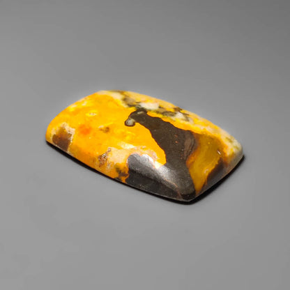 Bumble Bee Jasper