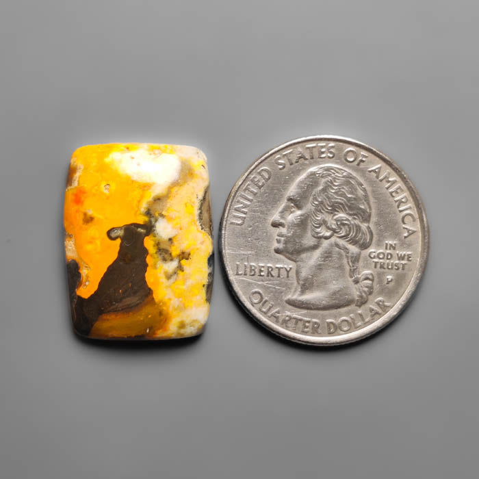 Bumble Bee Jasper