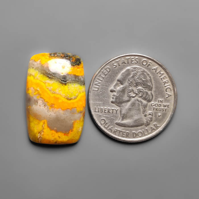 Bumble Bee Jasper