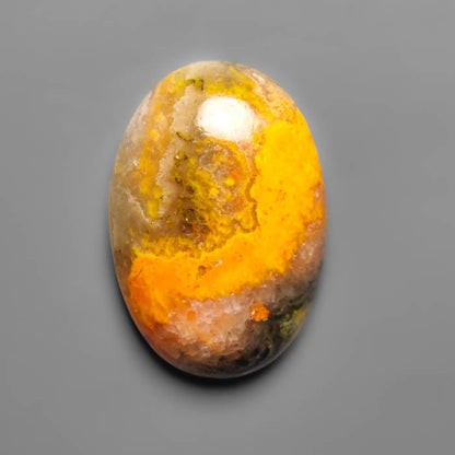 Bumble Bee Jasper