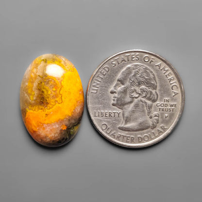 Bumble Bee Jasper