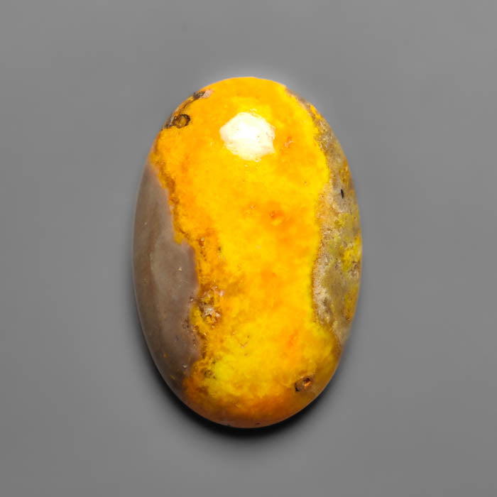 Bumble Bee Jasper