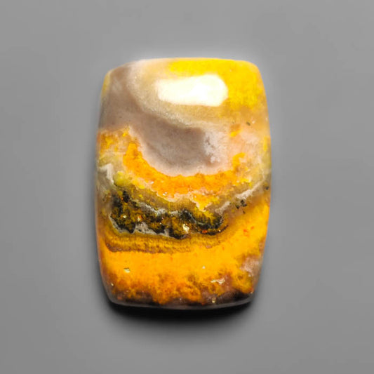 Bumble Bee Jasper