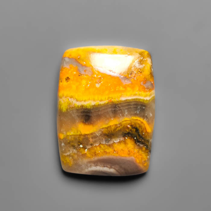 Bumble Bee Jasper