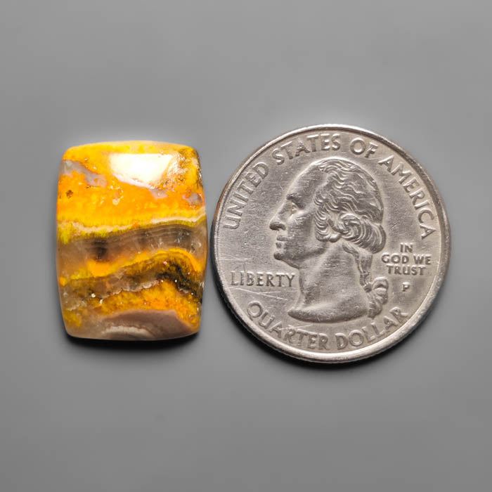 Bumble Bee Jasper