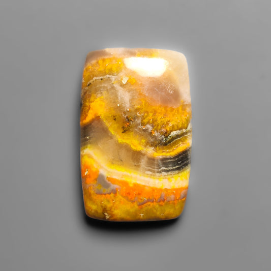 Bumble Bee Jasper