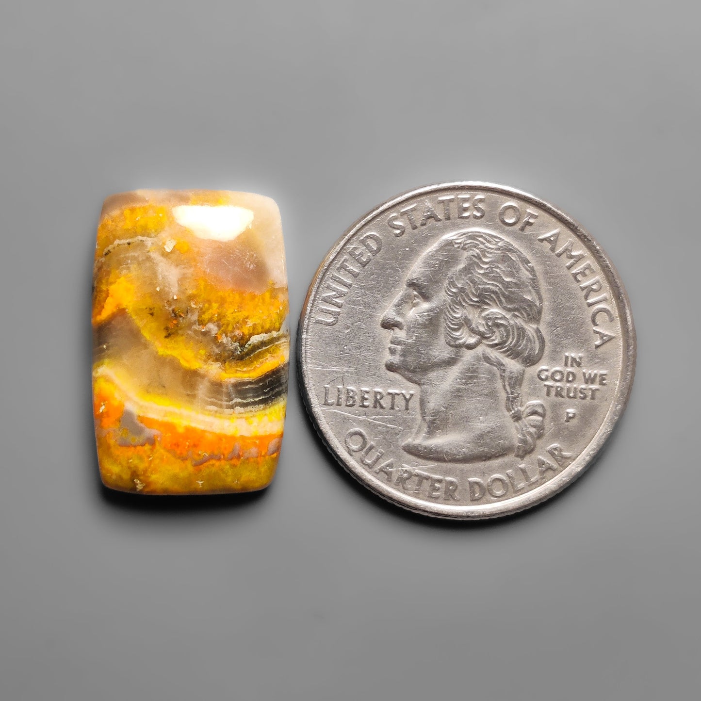 Bumble Bee Jasper