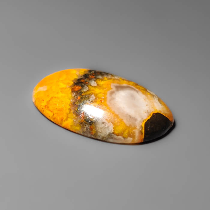 Bumble Bee Jasper