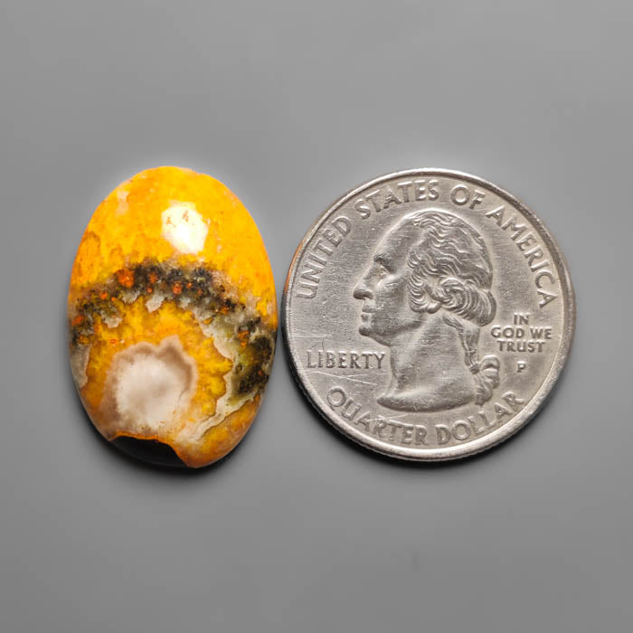 Bumble Bee Jasper