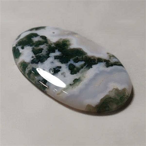 Agate|Tree Agate