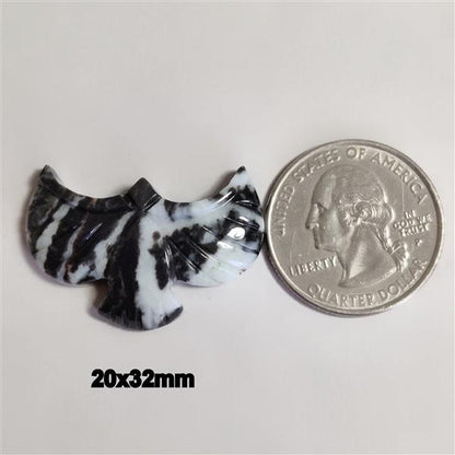 Zebra Jasper