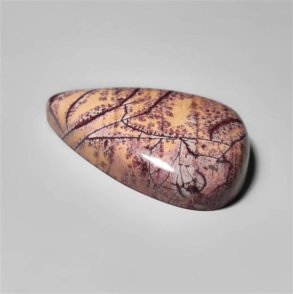 Sonoran Dendritic Rhyolite Cabochon