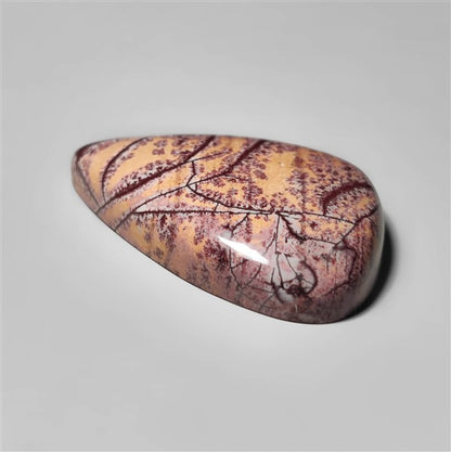 Sonoran Dendritic Rhyolite Cabochon