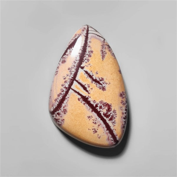 Sonoran Dendritic Rhyolite Cabochon