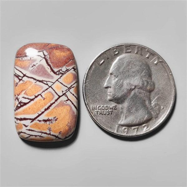 Sonoran Dendritic Rhyolite Cabochon