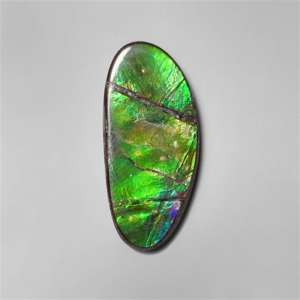 Ammolite