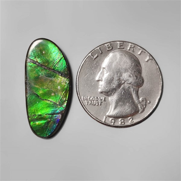 Ammolite