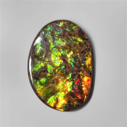 Ammolite