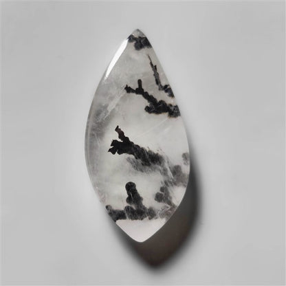 Agate|Dendritic Agate