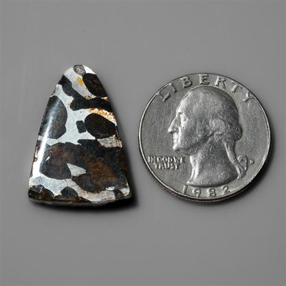 Rare Pallasite Meteorite