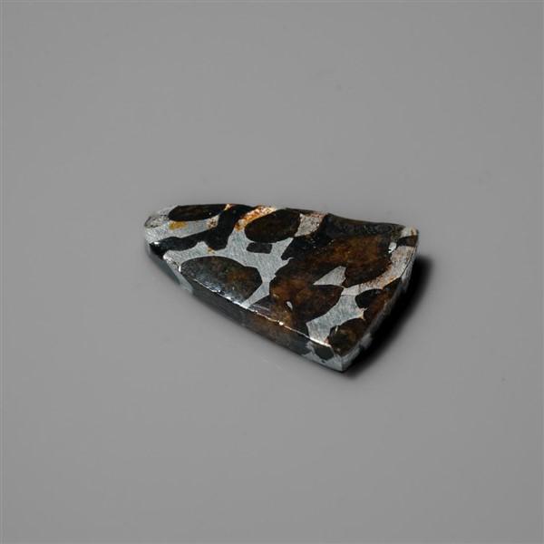 Rare Pallasite Meteorite