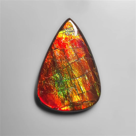 AAA Ammolite